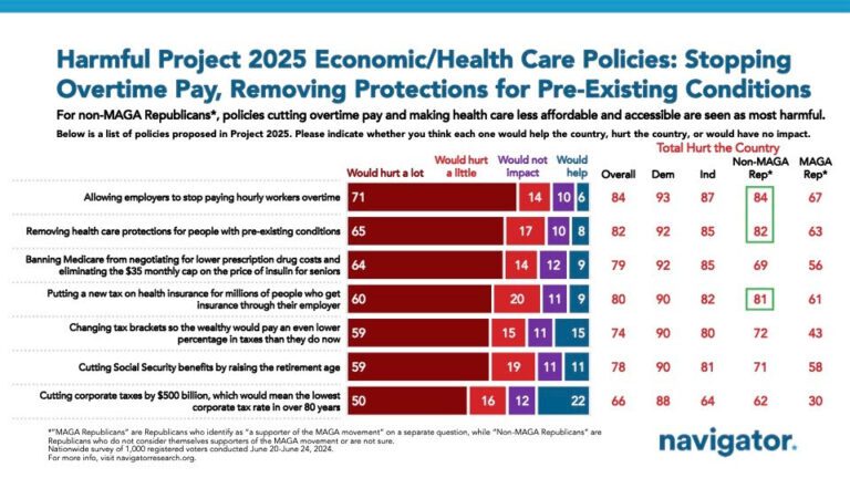 Strong Resistance Wisconsinites Stand Against Maga Republicans Project 2025 Health.jpeg