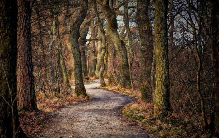 Clearing The Green: The Impact Of Agricultural Expansion On Forest